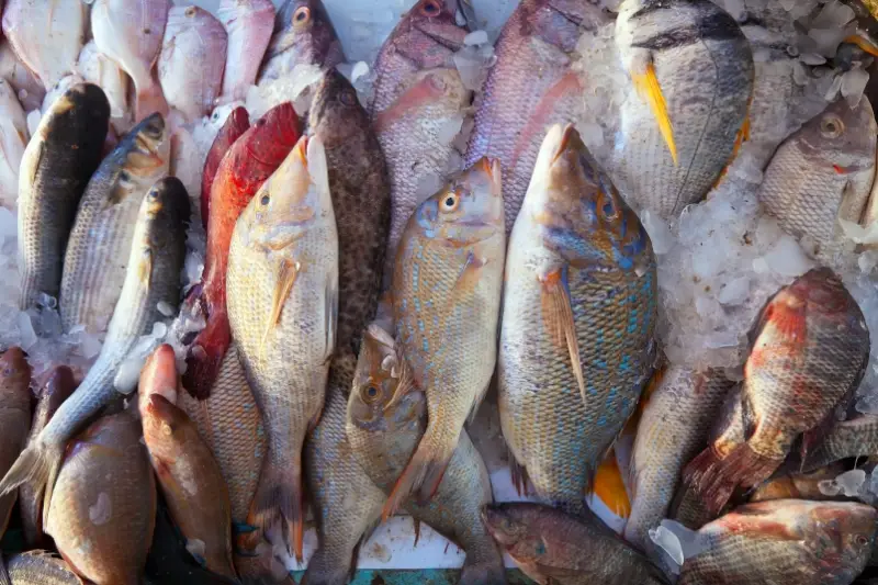 Kedonganan Fish Market